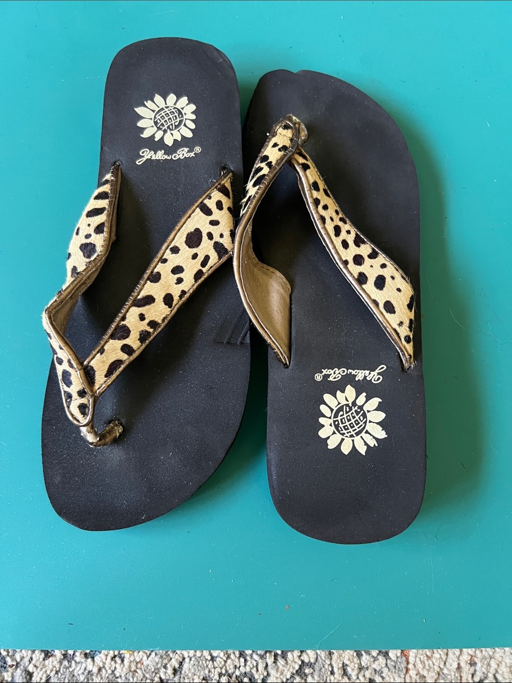 Yellow Box Leopard Print Thong Sandals - Black & Tan